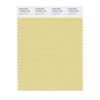 PANTONE Smart 13-0624X Color Swatch Card, Golden Mist