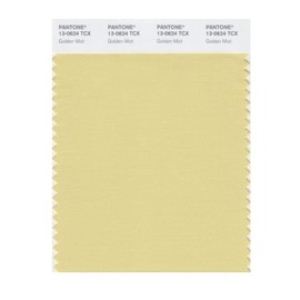 PANTONE Smart 13-0624X Color Swatch Card, Golden Mist