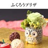 Oimoya Presents for the Aged Day, Preserved Flowers, Owl, Rose,