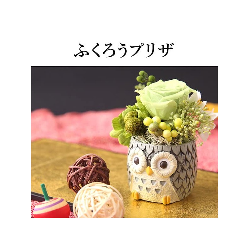 Oimoya Presents for the Aged Day, Preserved Flowers, Owl, Rose,
