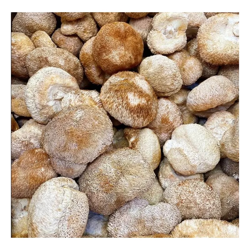 New Green Nutrition Premium Dried Lion's Mane Mushroom (8oz)