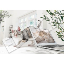 Epoch Corporation 300 Piece Jigsaw Puzzle, Ikimono/Pets, Telework Is Over (10.2 x 15.0 inches (26 x 38 cm), 26-370s, with Glue Spatula, Comes with Tickets EPOCH