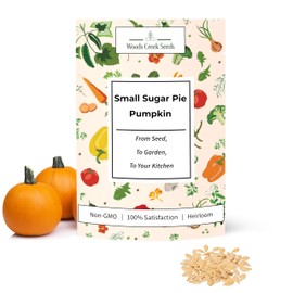Woods Creek Seeds: Small Sugar Pie Pumpkin Seeds for Planting - Over 40 Heirloom Non-GMO Pumpkin Seeds to Plant - Ideal Heirloom Seeds to Grow for Pies & Fall Harvest - Pumpkins for Outdoor Gardens
