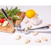STP GOODS Garlic Press with Silicone Brush and Peeler Nutcracker