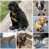 Dimicoo Breathable Dog Boots for Medium Large Dogs,Non-Slip Dog Shoes