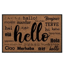 ZUYOENCO Door Mats Inside Indoor Non Slip Funny, Hello Foreign Languages Holiday Doormats for Outdoor Entrance Home Front Door Entry Rugs for Entryway with Rubber Backing 30" X 18" Size