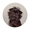 Affenpinscher