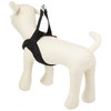 Anifull Anisapo Harrest Black X-Small Dog Size XS