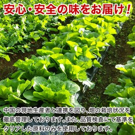 Super Spicy Karashi Takana (17.6 oz (500 g), Stir-fried Oil x 2 Bags, Plenty of Household Use, Must See for Super Spicy Party