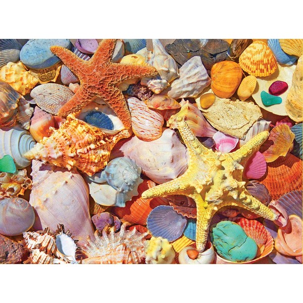 White Mountain Puzzles Beach Shells - 500 Piece Jigsaw Puzzle