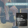 Daimel | Creatina Monohidratada en Polvo | 2 Kilos |
