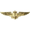 Naval & Marine Aviator Gold Metal Auto Emblem