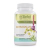 Betel Natural Premium Astragalus Herb Extract Immune and Antioxidant Support