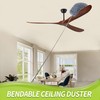 IVYROLL Cobweb Duster with Extension Pole, Spider Web Brush &