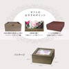 Nor Corporation Bath Petals Box, Champ de Fleur, Ombois Bonnee