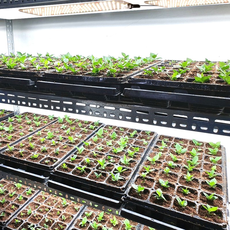 Full Spectrum LED Plant Growth Light Board Supplement Light for