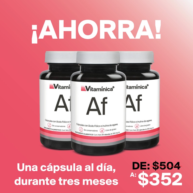 Ácido Fólico 90 Cápsulas de 390 mg | Ideal para