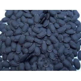 Fresh 30+ Premium Luffa Gourd Seeds 丝瓜籽 New Extra Long Heirloom, Non-GMO