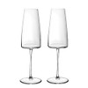 Villeroy & Boch Signature MetroChic Champagne Flute Set of 2
