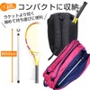 Tennis Idiot Ultralight Portable Singles Pole "Pota Stick" Pair of