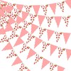 3Pcs She's the Cherry on Top Banner Cherry Themed Birthday