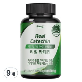 Furnit Real Catechin, 60 tablets, 9 pcs / 퍼니트 리얼 카테킨, 60정, 9개