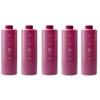 Set of 5 Pieces, Number Three Mulliam Treatment B, 21.2