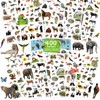 Fancy Land Animal Stickers Jungle Animal Sticker for Kids 8