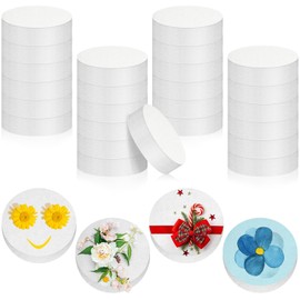 Henoyso 24 Pcs Foam Circles Polystyrene Foam Discs Cylinders Crafts Round White Block for DIY Arts Sculpture Modeling Floral Christmas Valentine Supplies(4 x 4 x 1 Inch)