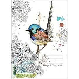 F033 Fairy-wren