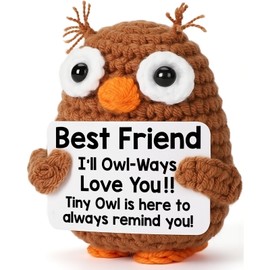 Mini Mothers Day Friends Friendship Gifts for Best Friends BFF Bestie Soul Sister, Positive Crochet Owl for Friends Birthday Graduation Gift, Funny Friend Gifts for Female Male Emotional Cute Stuff
