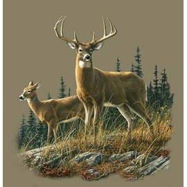 SVT Plush Queen Size Deer Blanket - Extremely Soft - Autumn Whitetails