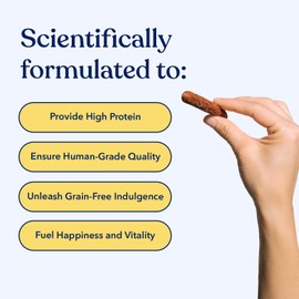 Honest Paws Dog Jerky Treats - All-Natural Jerky Dog Treats for Training Pets - Human Grade Bites - Real USA Beef