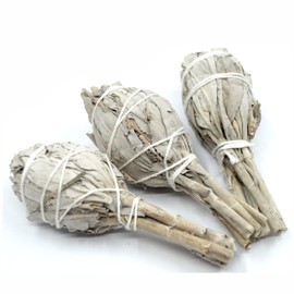Farbenwald - White Sage, 3 Torches for Smoking, Approx. 11 cm Long, from California, Smudge Sticks, Salvia Apiana