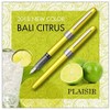 Platinum Fountain Pen Plaisir Bali Citrus Medium Point (M)