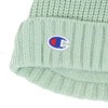 Champion 438-0033 Kids' Knit Cap, mint
