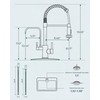 FORIOUS Black Kitchen Faucet with Purfied Water Filter, 2 in