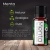 VIDA SCENTS OLEOS Aceite Esencial de Menta 10 ML 100%