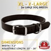 ADITYNA - Leather Dog Collar for Extra-Large Dogs - Heavy