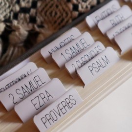 Salt Light - Neutral Black - Bible Tabs - Black Foil - Matte Coated - Bible Journaling - Beautiful Index Tabs - 66 Books + Extra - Indexing - Laminated - Durable - High Quality - Women & Men