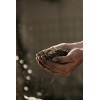 Organic Super Soil Concentrate 1lb ORIGINAL SUPER SOIL CONCENTRATE for