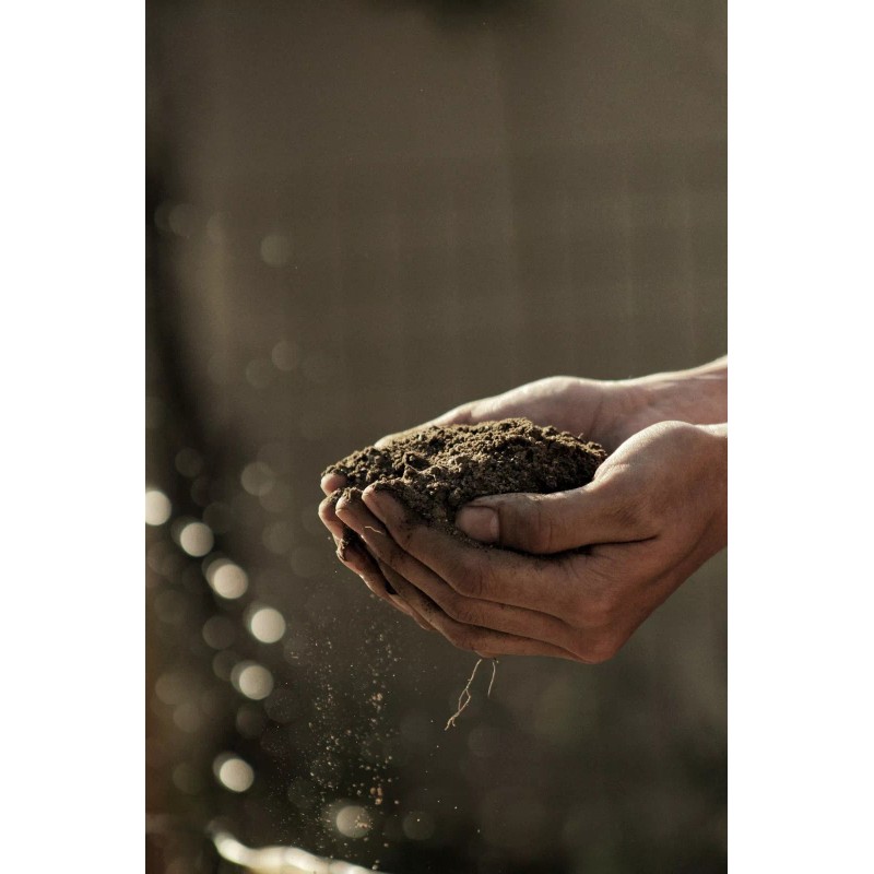 Organic Super Soil Concentrate 1lb ORIGINAL SUPER SOIL CONCENTRATE for