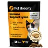 Cat Immune Support Lysine - Cat Allergy Relief - Sneezing,
