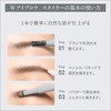 Esprique W Eyebrow Styler (Liquid & Powder) GY002 Gray 0.7g