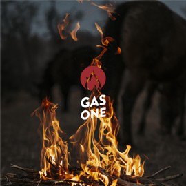 Gas One GasOne 23 in OutdoorC Wood Burning Fire Pit C Durable Alloy Steel Fire Pits for Outside C Small Fire Pit for Backyard, Porch, Deck, Camping, BBQ