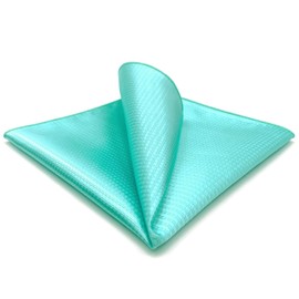 SHLAX&WING Solid Aqua Indigo Silk Fahion Necktie, 12.6 x 12.6 inches (32 x 32