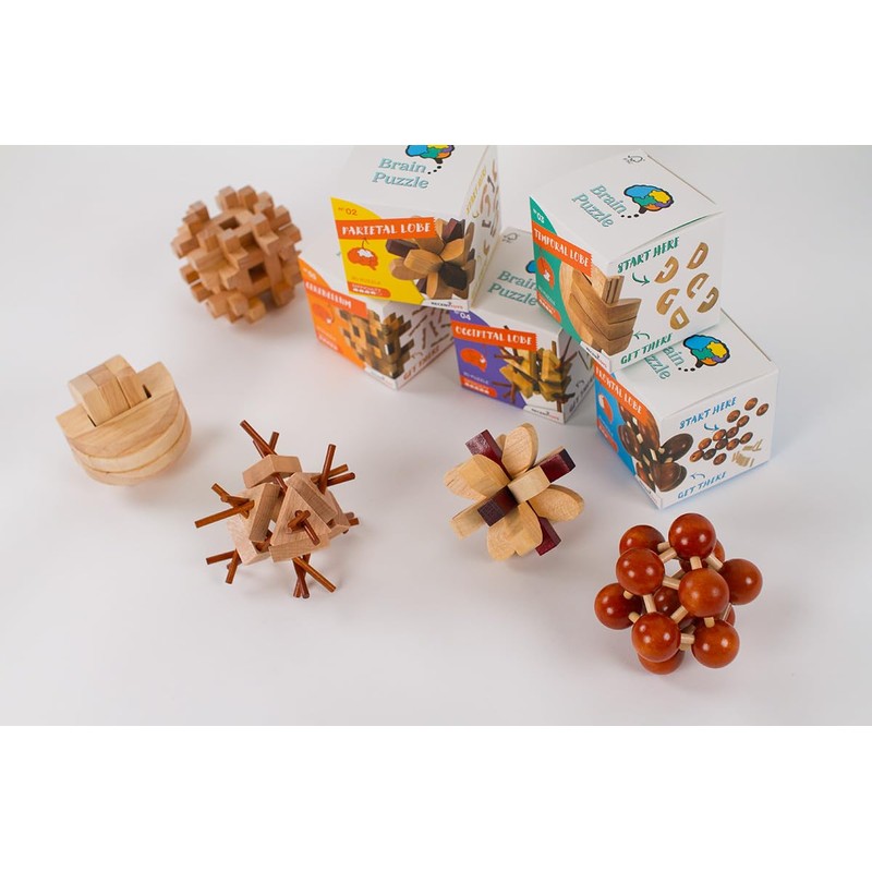 Brainpuzzle #1 Frontal Lobe