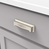 Hickory Hardware 1 Pack Solid Core Kitchen Cabinet Pulls, Luxury