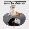 Pawise Peekaboo Cat Cave Donut Tunnel Bed, Cat Tunnel Bed,Bonus