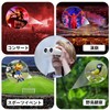 Binoculars for Live Use, 10x Opera Glass, Vibration Proof, Lightweight,